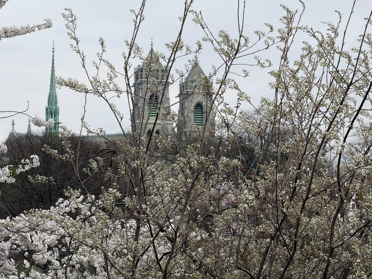 Candi’s Classic Game Shrine 👾⛩️ tweet media