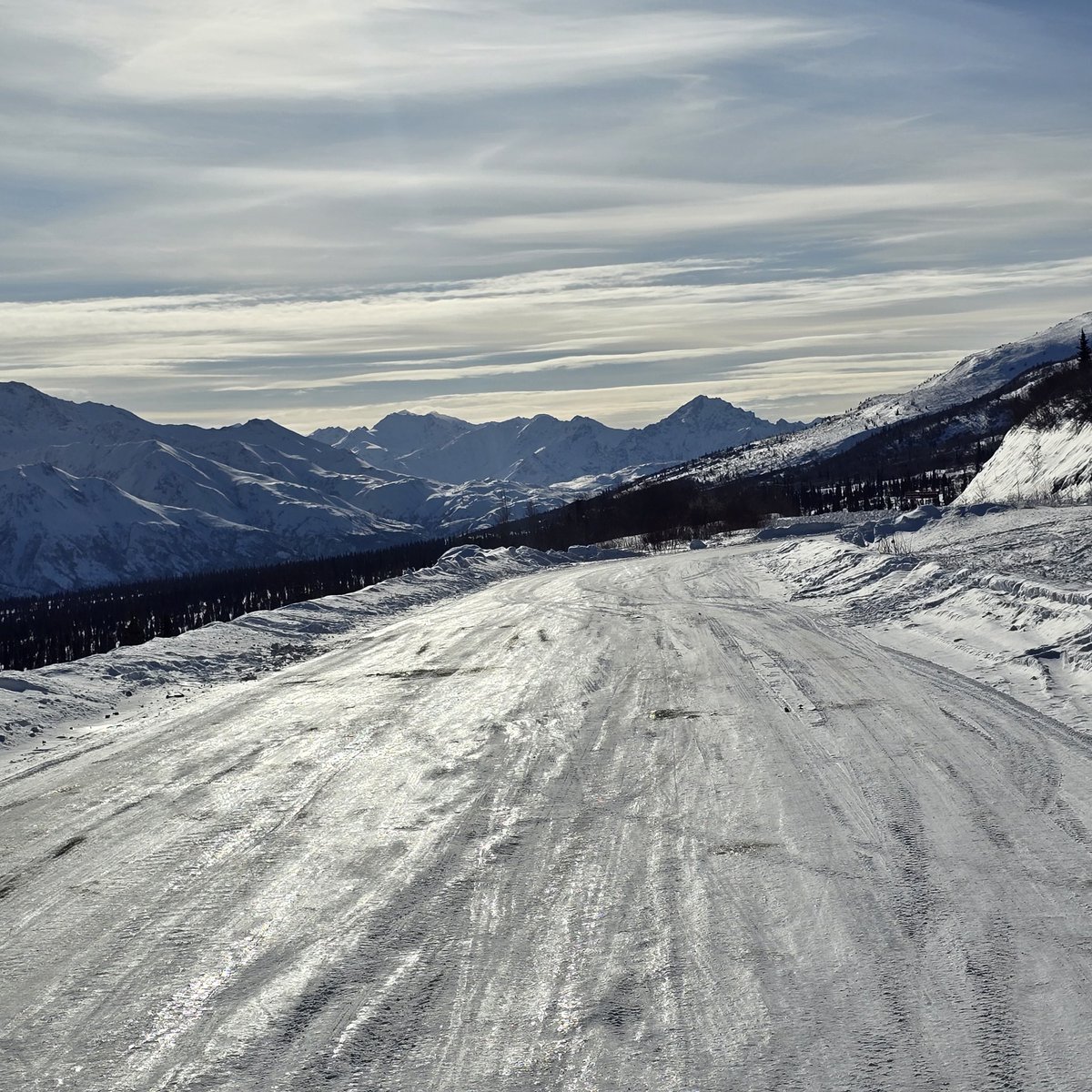 We the people tweet media