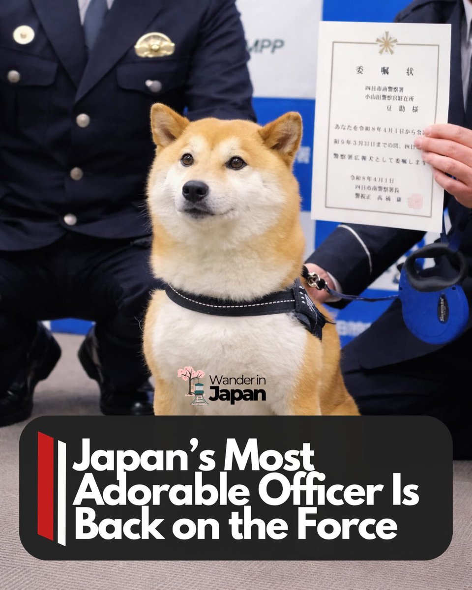 donnod tweet media