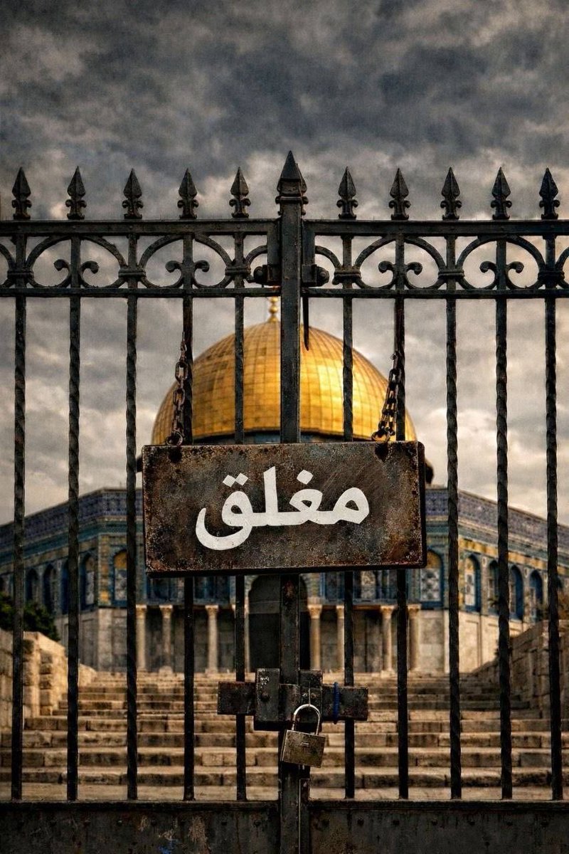 جابر الحرمي tweet media