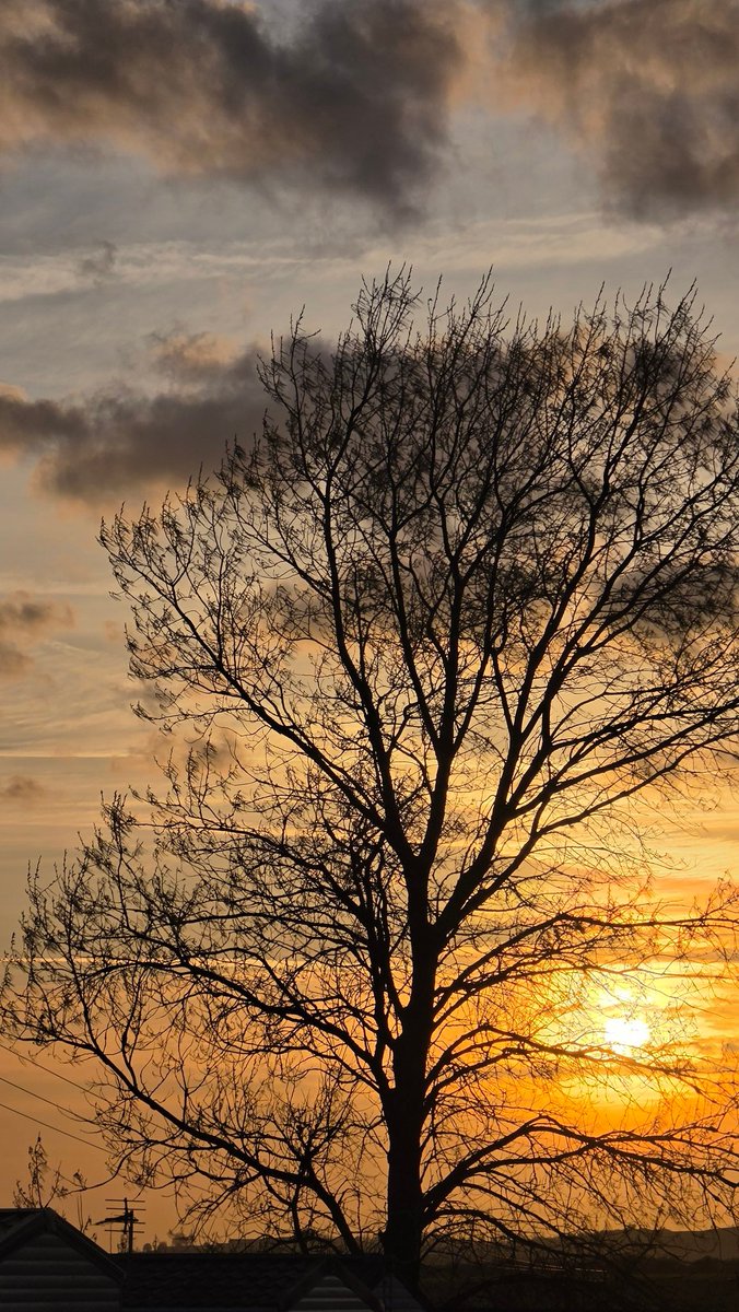 One of my favourite pics so far 
#samsunggalaxys26series #samsungs26ultra