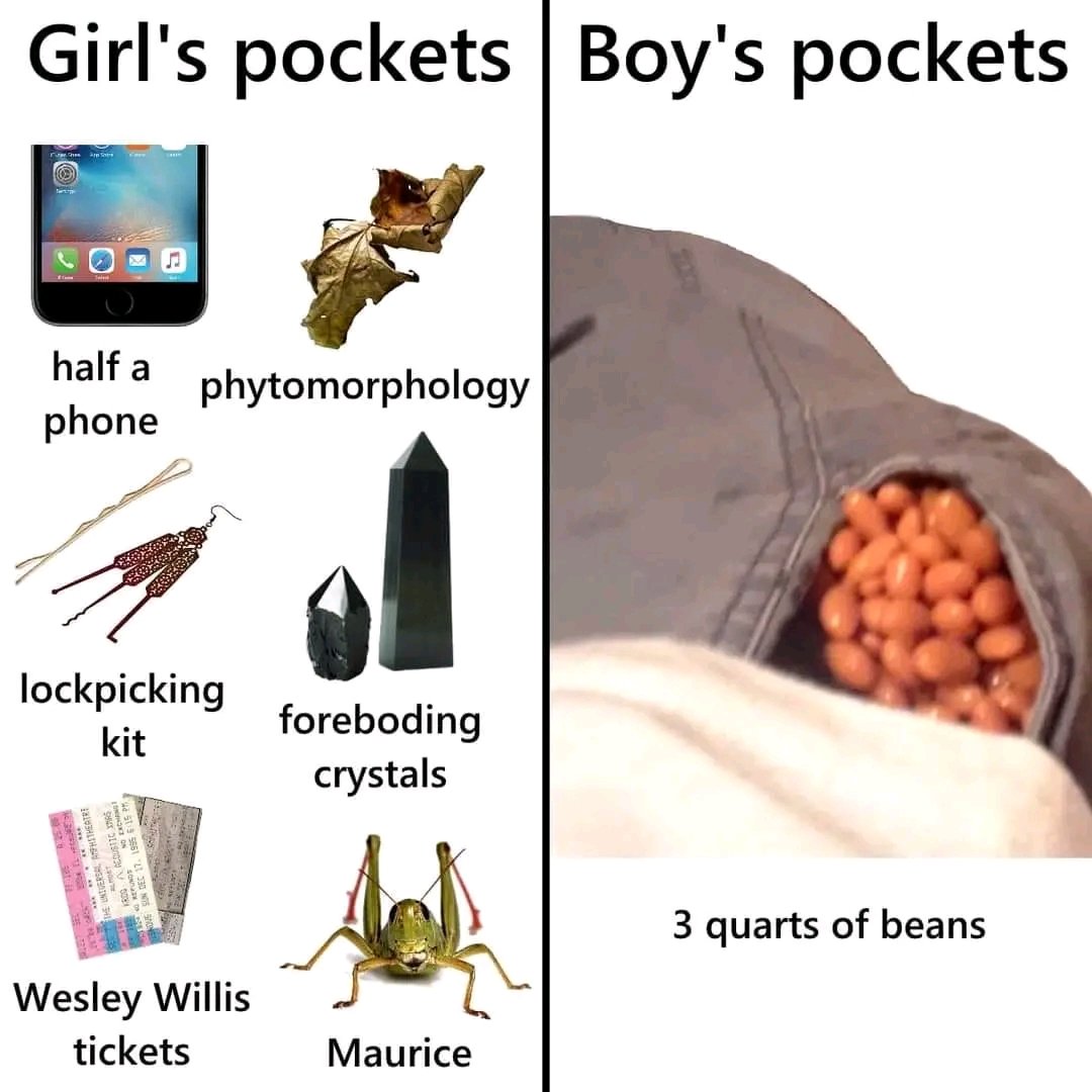 Alien Perspective tweet media