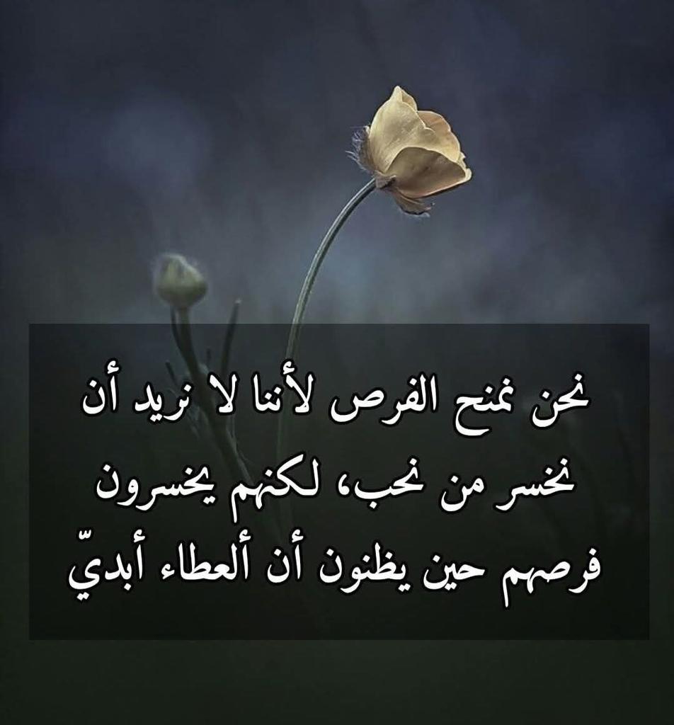 زنبقة 🦋 tweet media