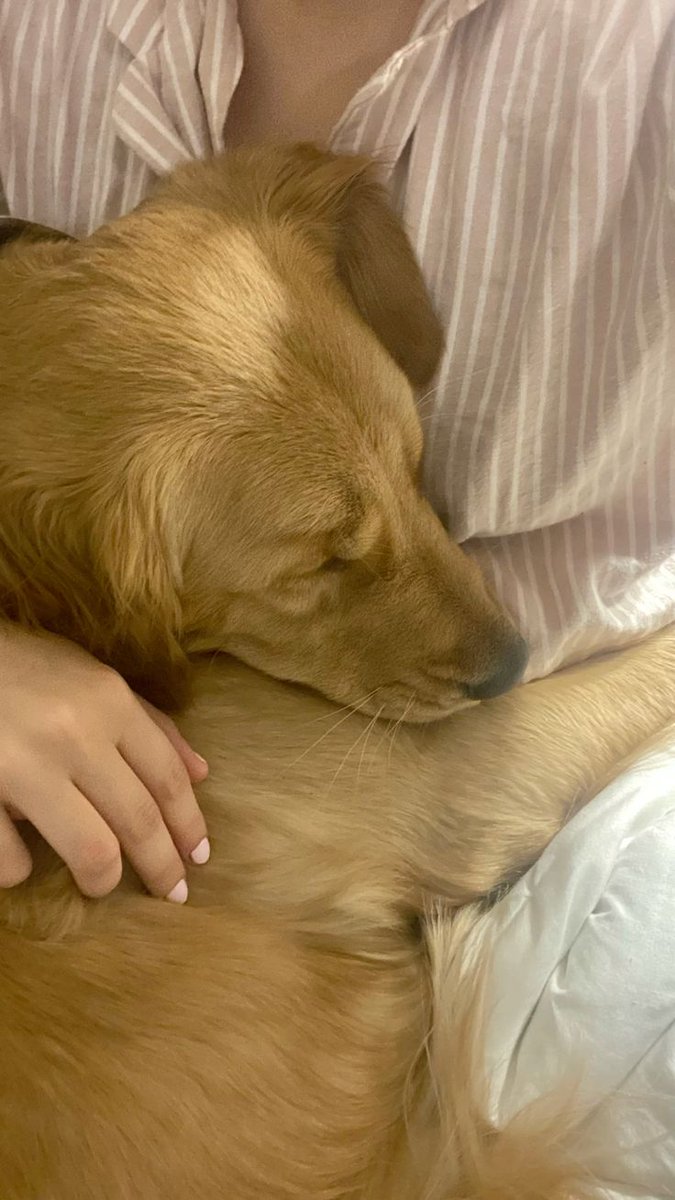 Renee🌈 tweet media