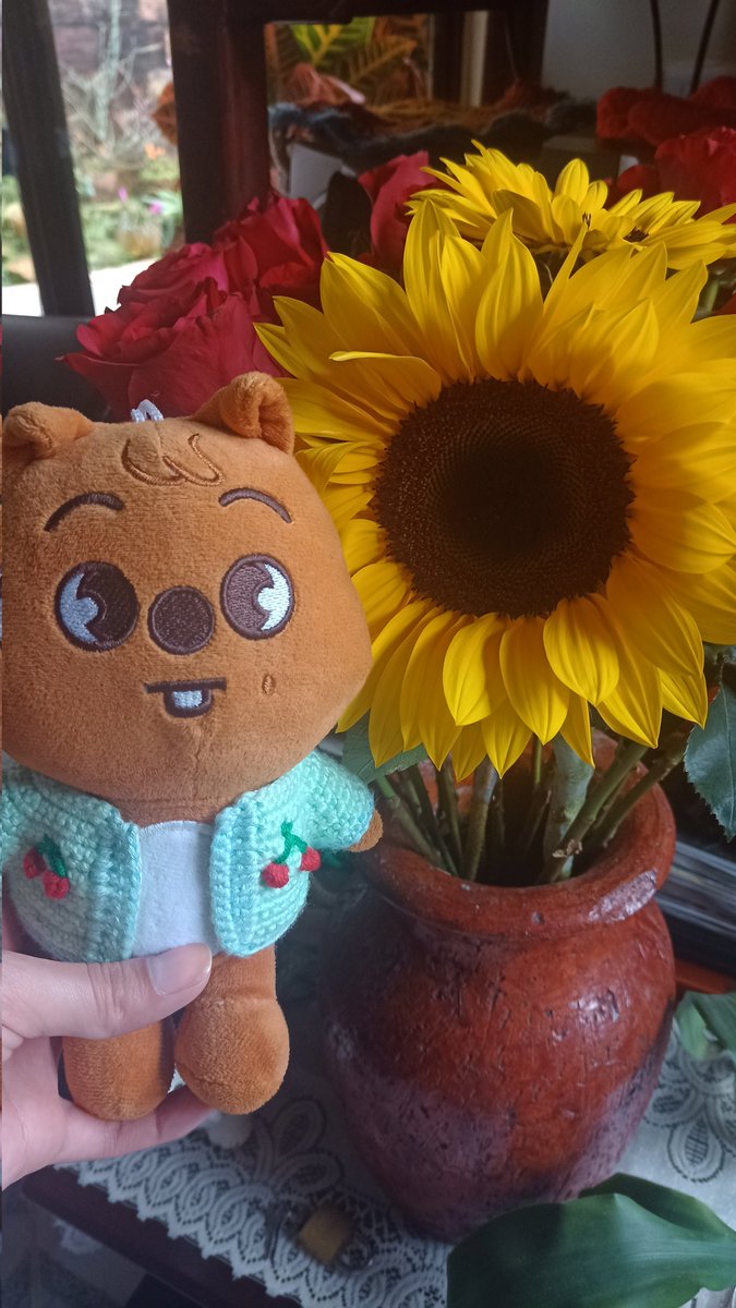 𝐶𝑎𝑟𝑜 ×͜× 𝐷𝑂 𝐼𝑇 ✧ tweet media