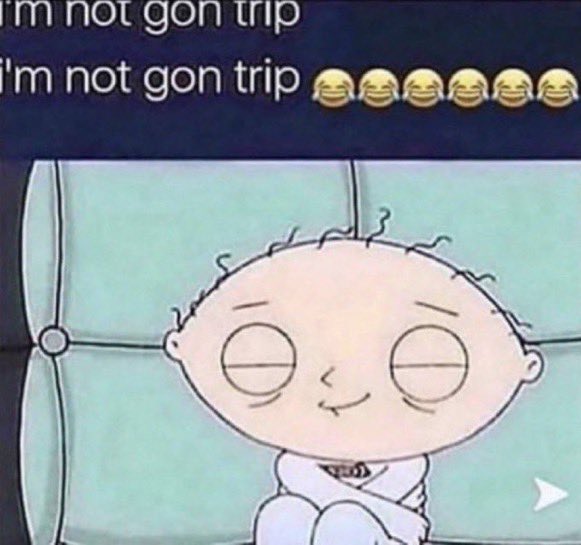 bel 🐛 tweet media