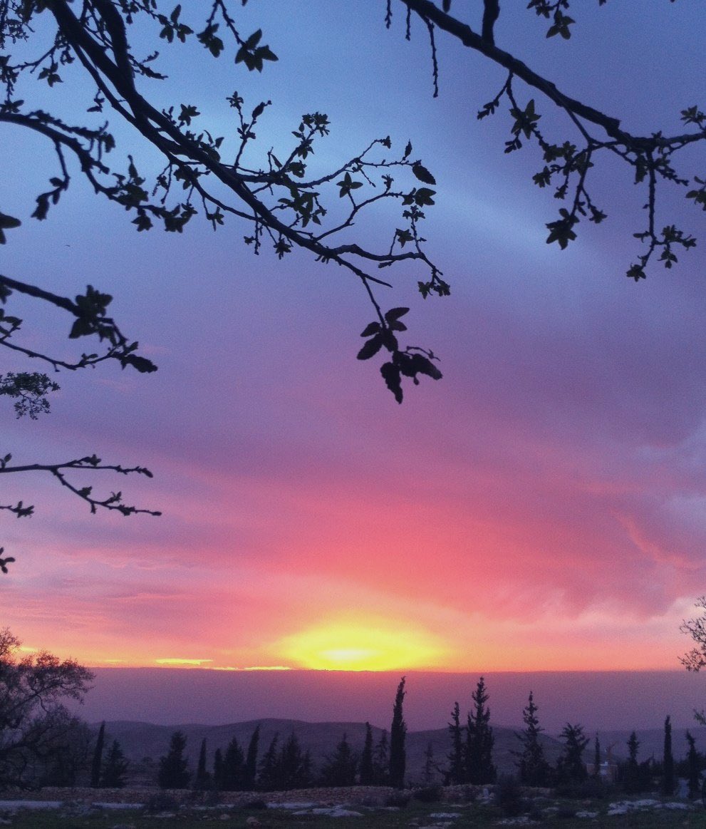 ‎ ‏﮼عيون،الغلا tweet media