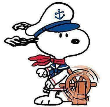 surfer girl 🏄♂️ tweet media