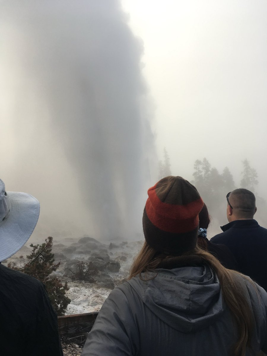 Cheesehead Expat tweet media