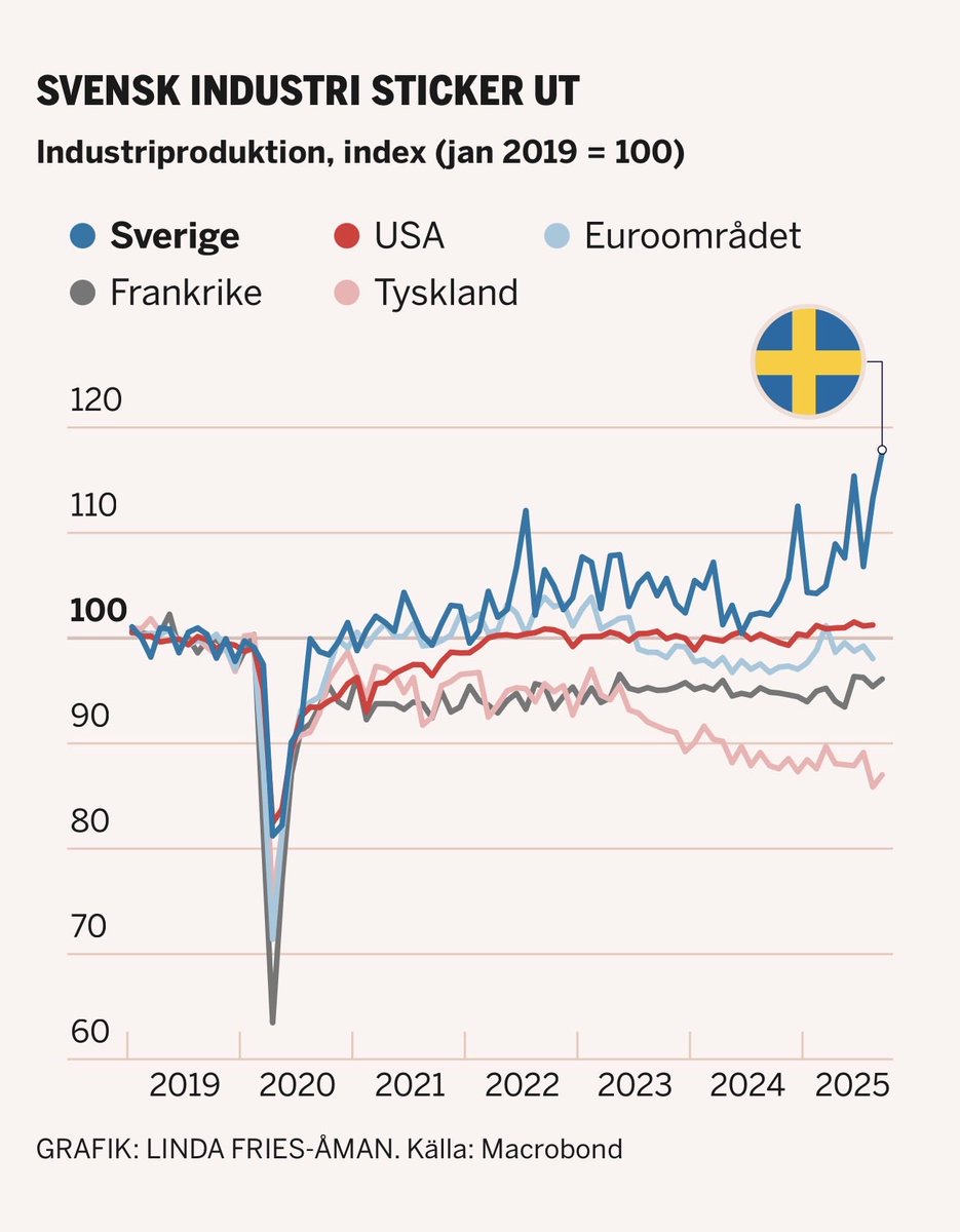StingoBingo tweet media