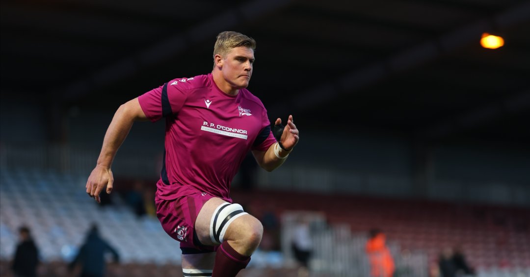 Sale Sharks 🦈 tweet media