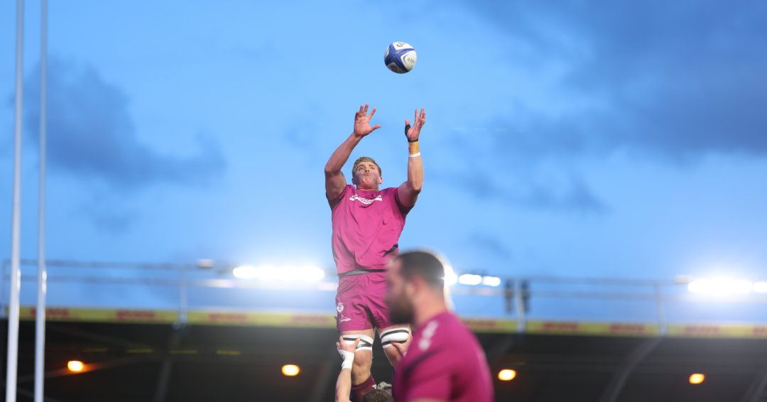 Sale Sharks 🦈 tweet media