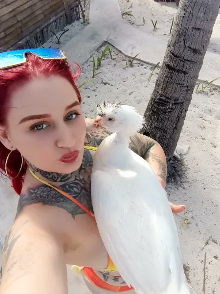 Blazed_vixen tweet media