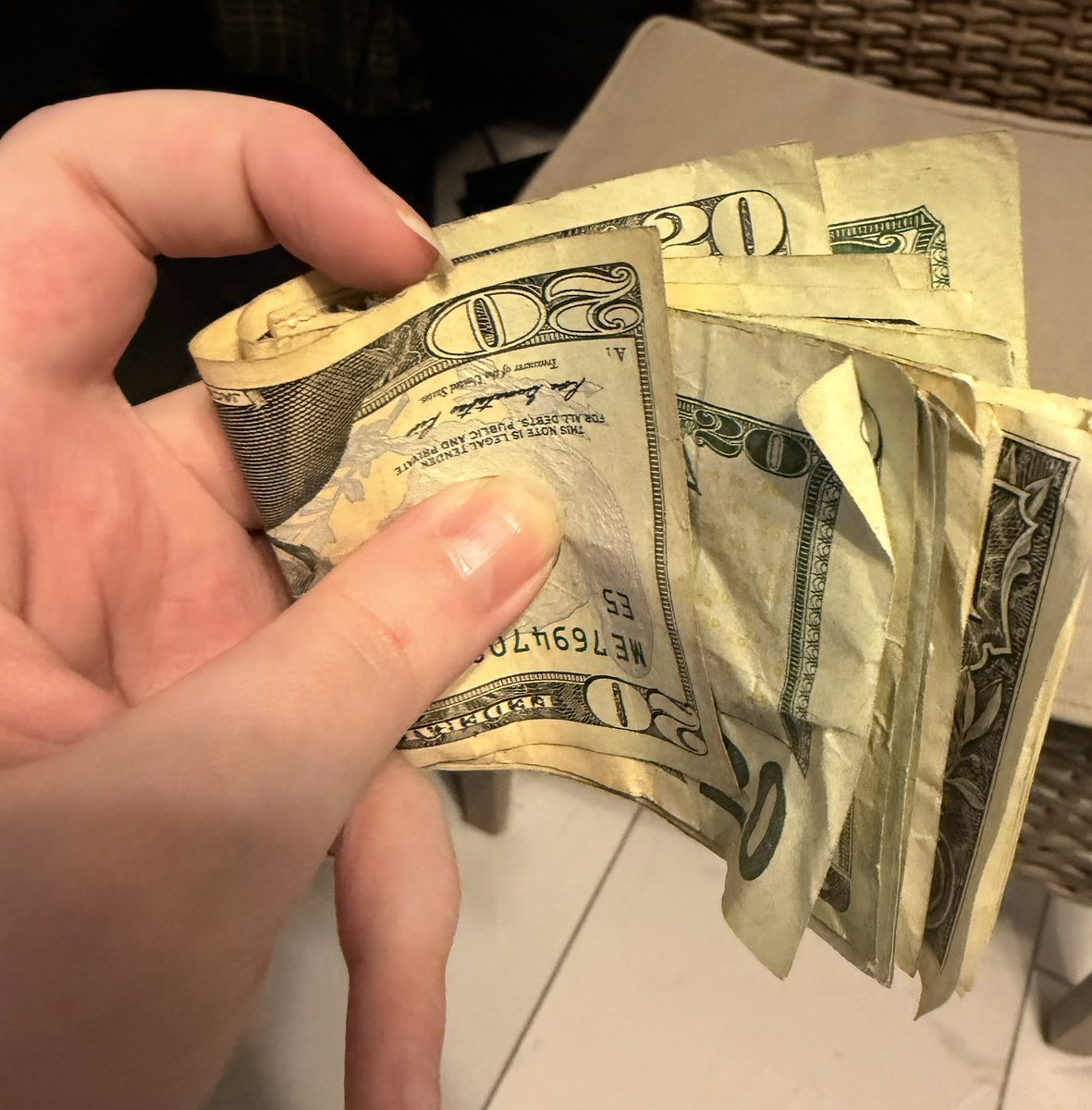 ✨ E G G 🥚✨ tweet media