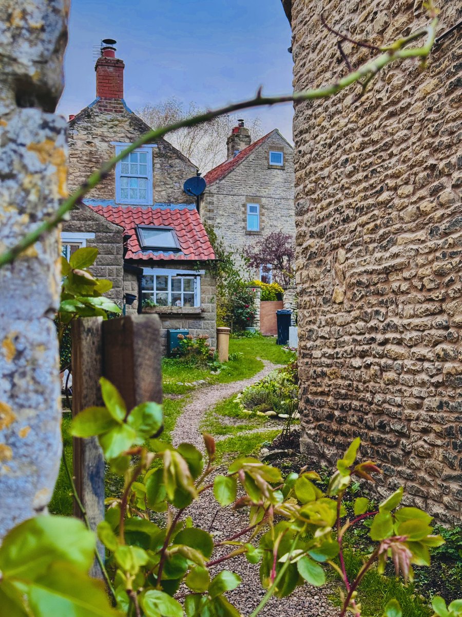 Jonathan Sisson tweet media