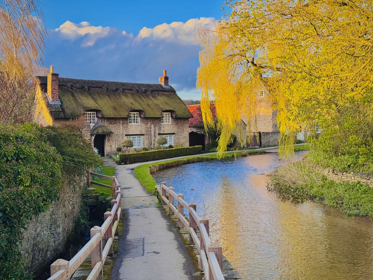 Jonathan Sisson tweet media