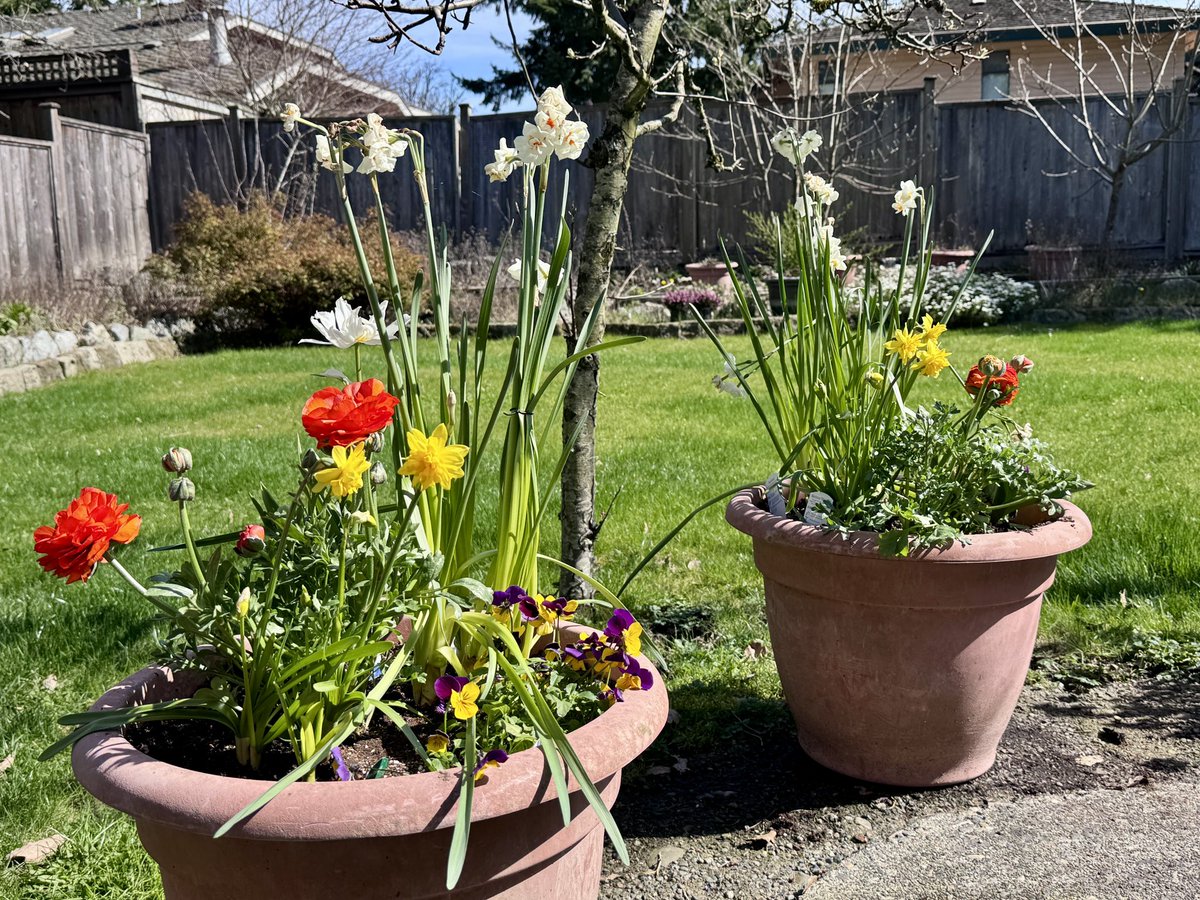 Tom Zillich tweet media