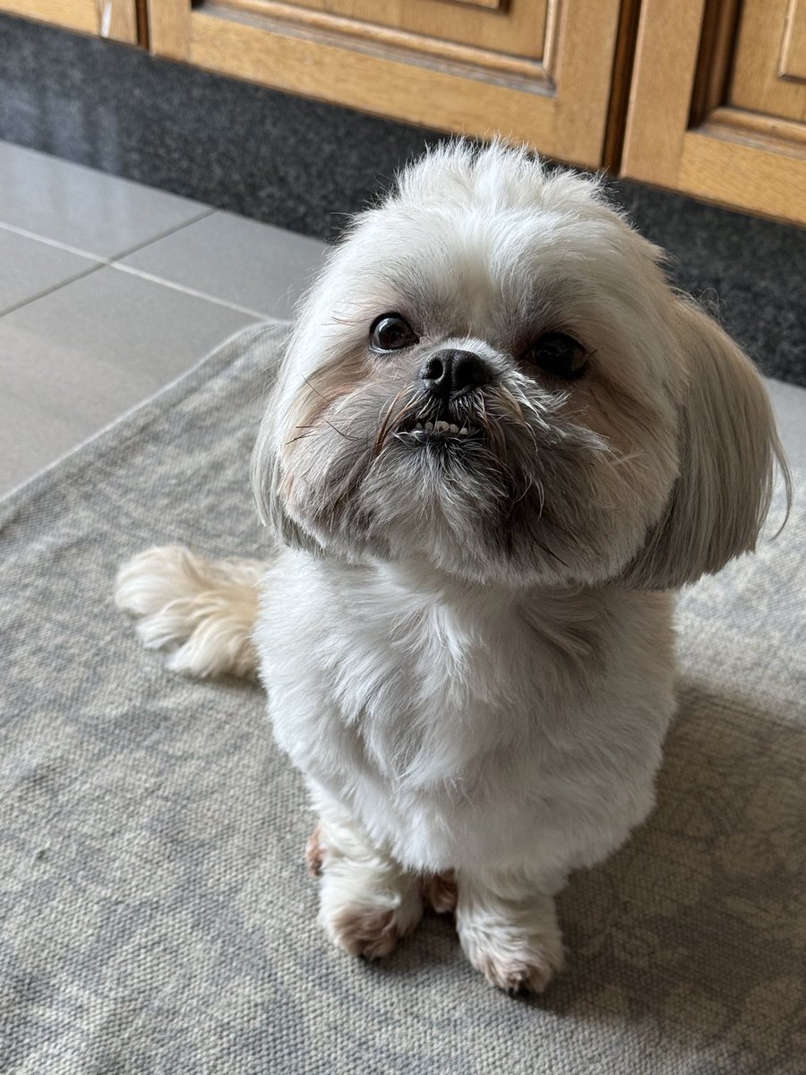 Nieves Abarca 🦇 tweet media