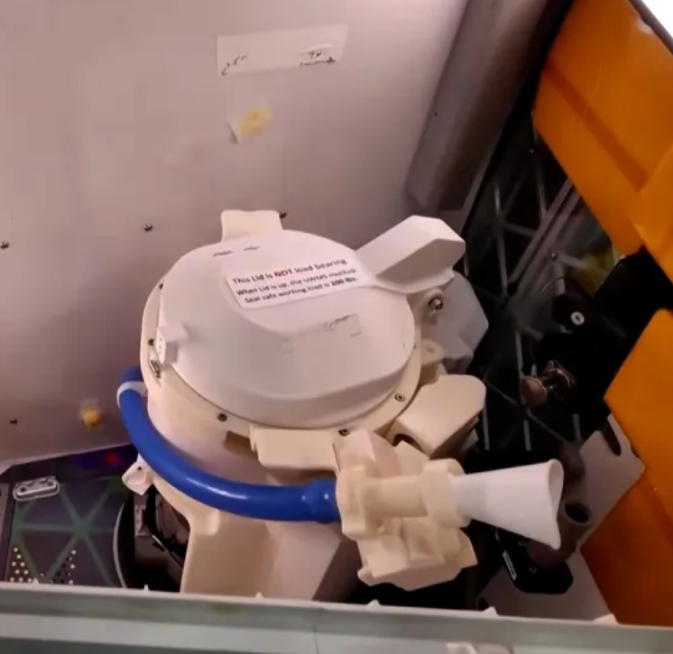 Molly Ploofkins tweet media