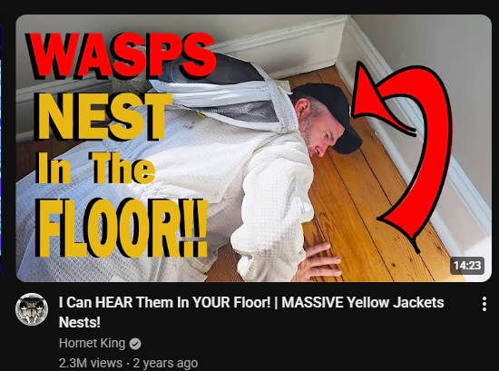 fishedchip tweet media