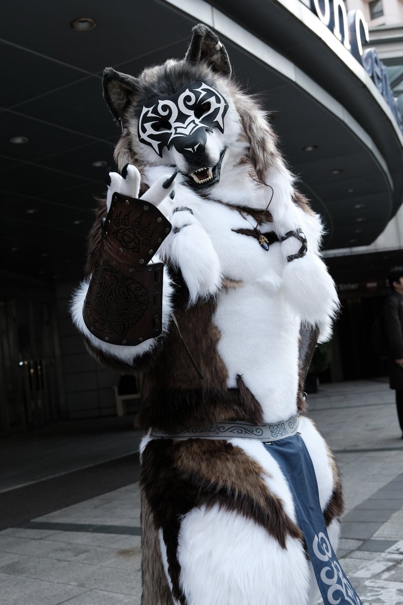 rocrocot📷 tweet media