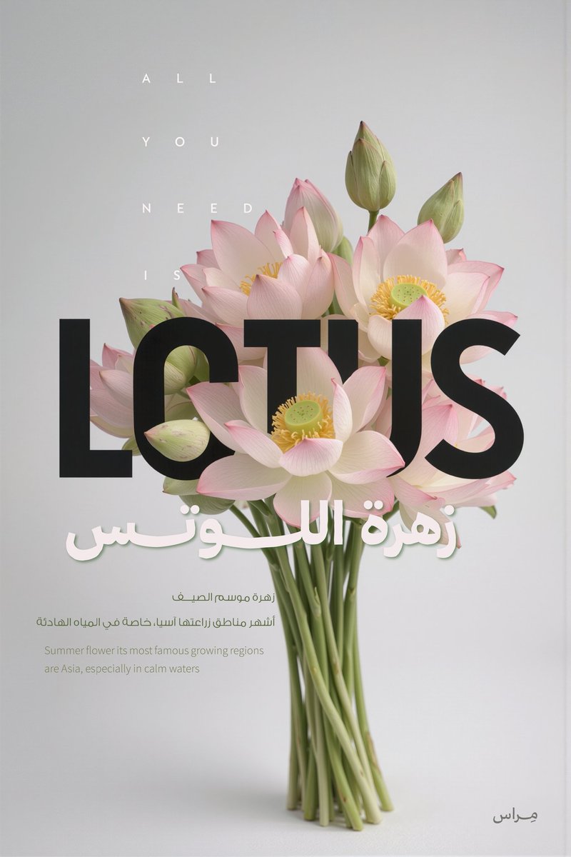 مِراس tweet media