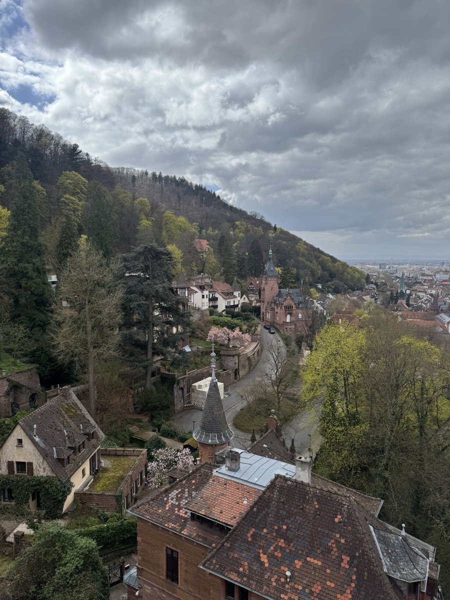 umichvoter tweet media