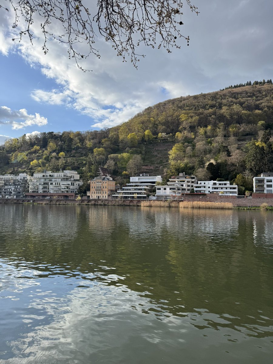 umichvoter tweet media