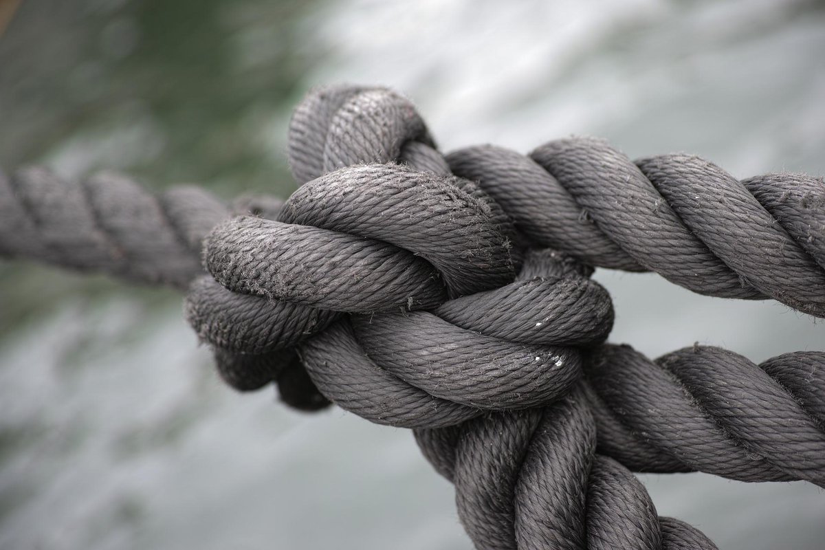 A strong knot is a lifeline in challenging environments. Learn which knots matter most when survival is on the line. Find out how: crateclub.com/blogs/articles…