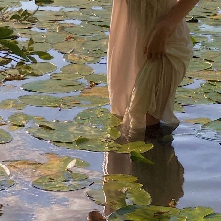 Cat 𖤐 fem james potter tweet media