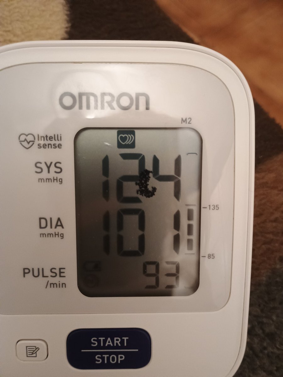 Bea 🇪🇸 🇮🇹 tweet media