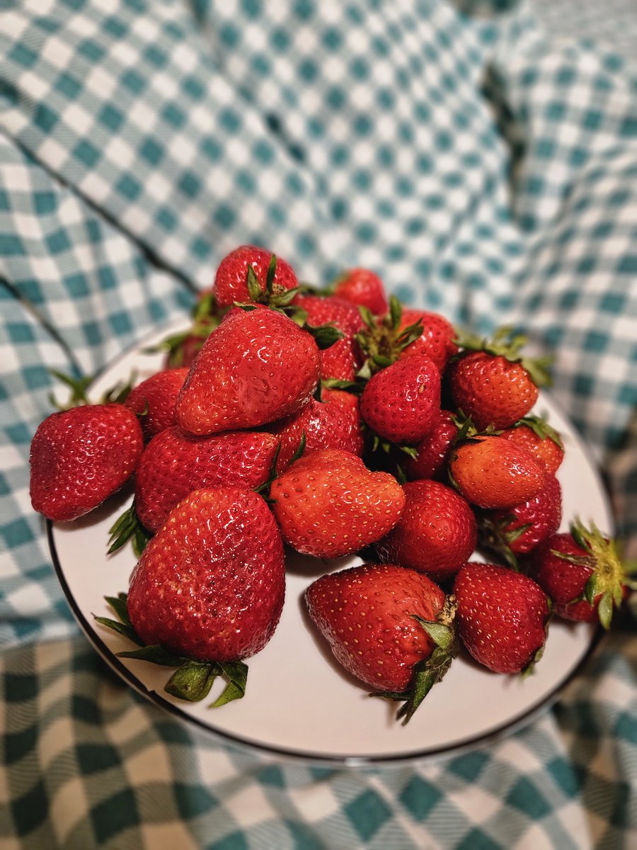 Ксеня tweet media