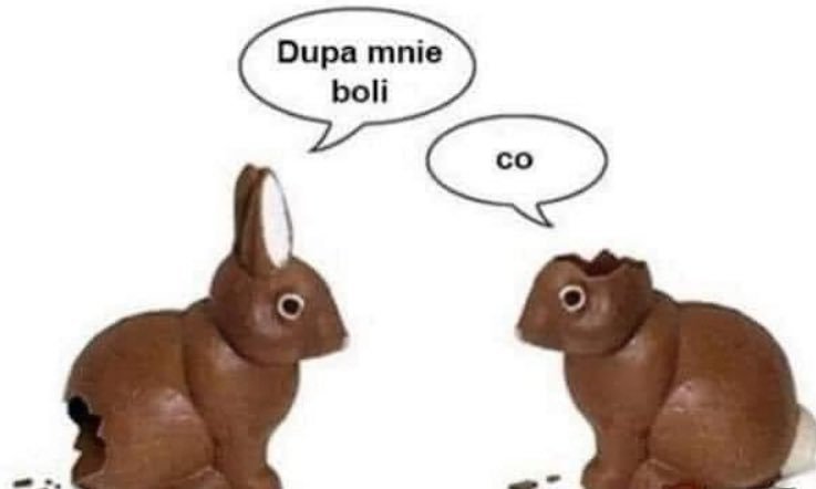 𝗰𝗼𝘂𝗿𝗶𝗲𝗿 🇺🇦🇪🇺🇵🇱 tweet media