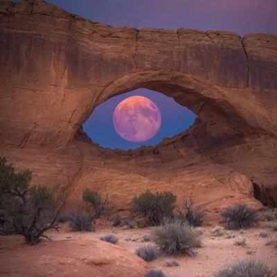 Solstice tweet media