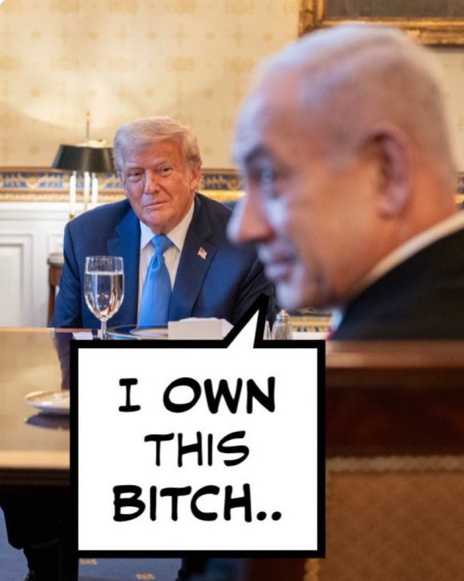 thomas mcdade tweet media