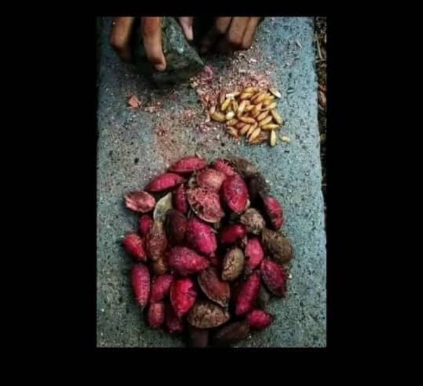 Favored😍😍 tweet media