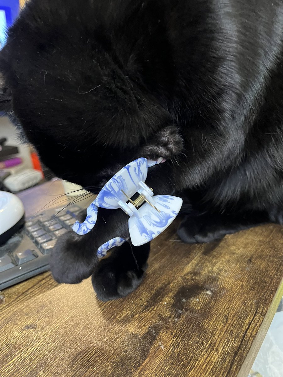 Moysha & Moysha Sons tweet media