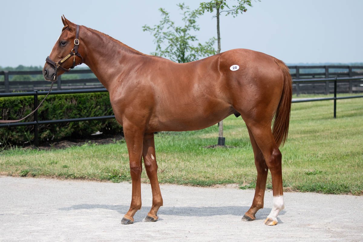 Taylor Made Farm tweet media