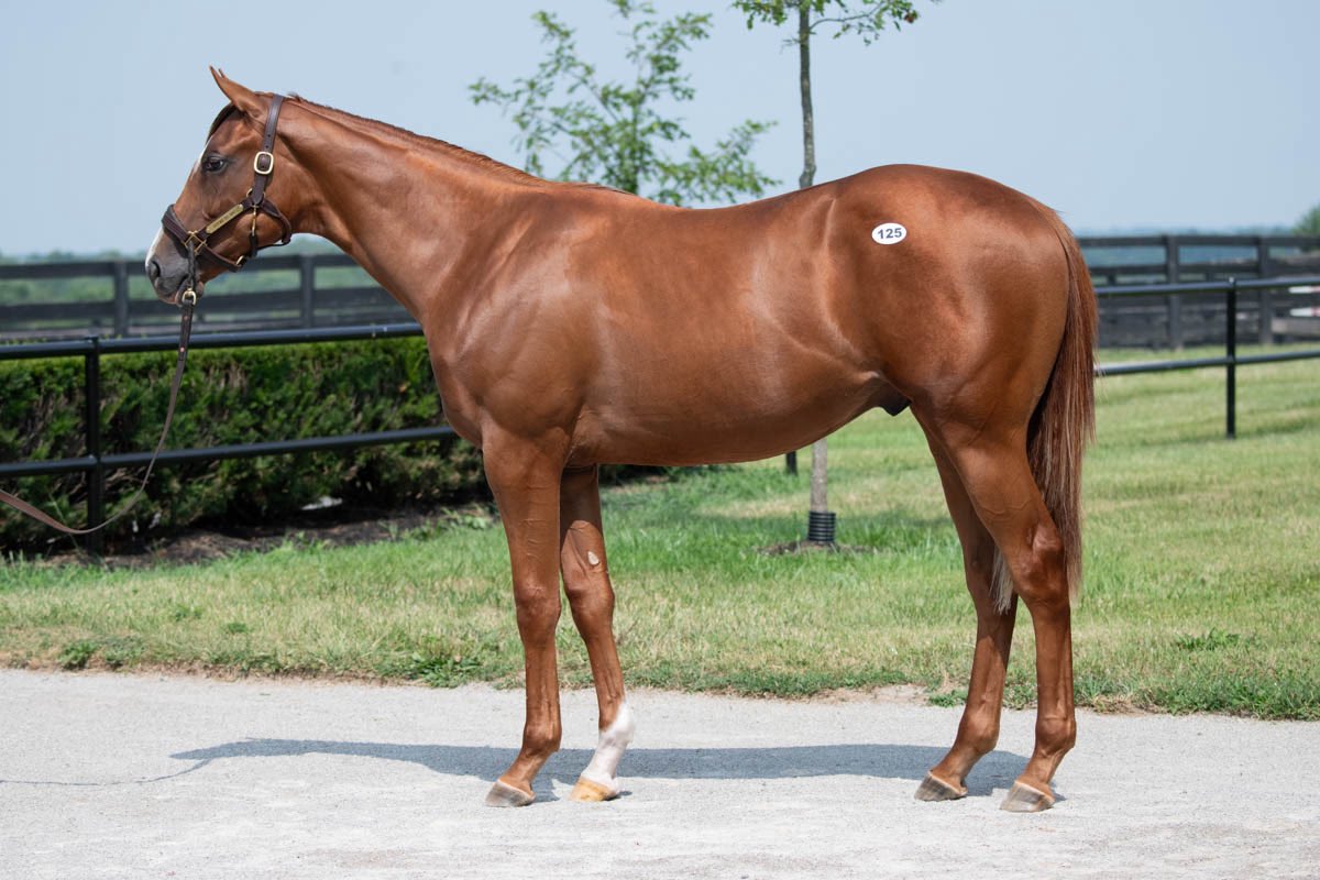 Taylor Made Farm tweet media