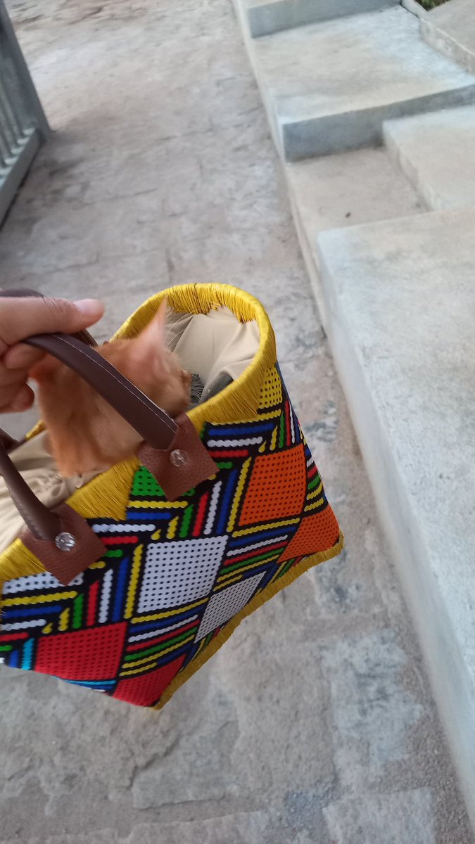 Samtan Dolma 桑丹卓瑪 བསམ་གཏན་སྒྲོལ་མ། tweet media