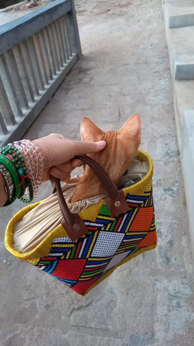 Samtan Dolma 桑丹卓瑪 བསམ་གཏན་སྒྲོལ་མ། tweet media