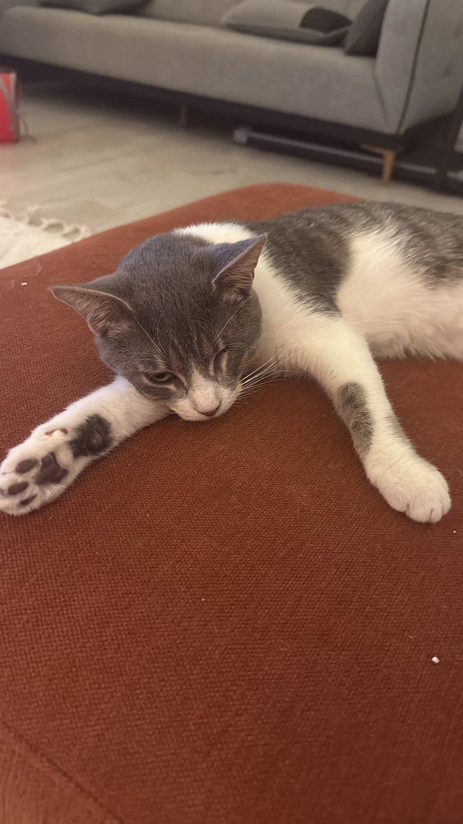 Çok uykummm varr