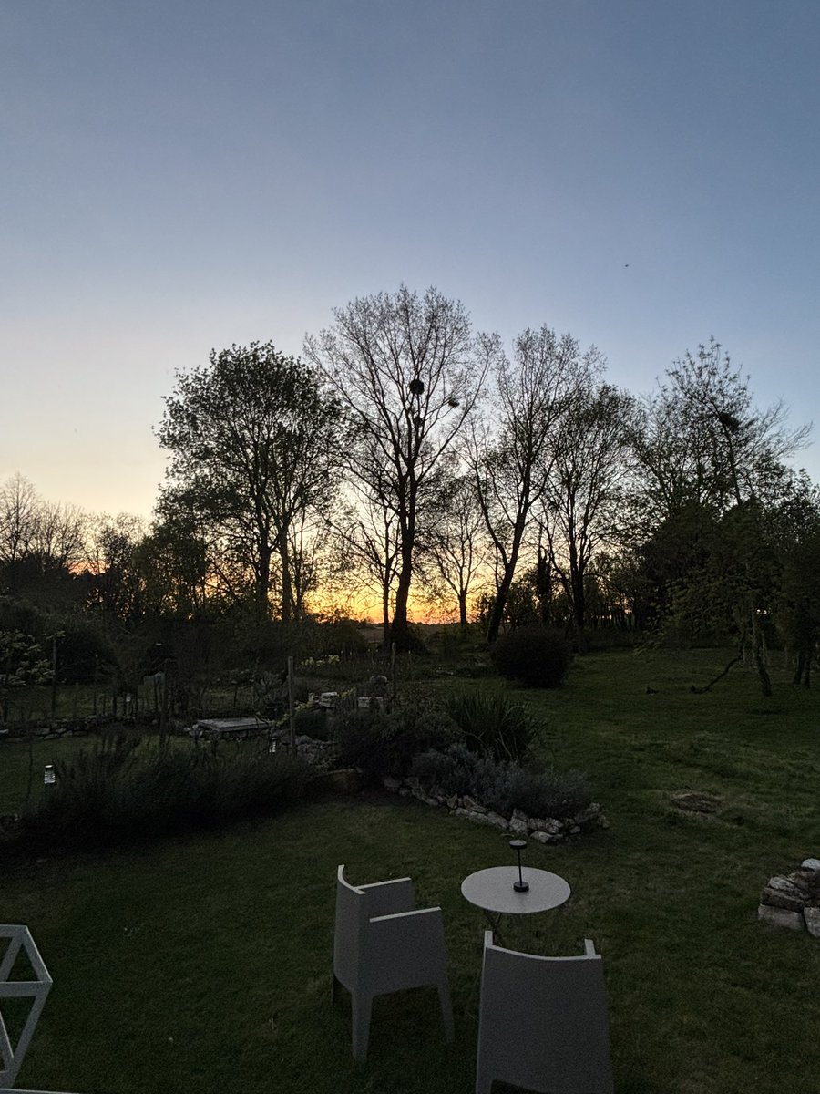 Moustache tweet media