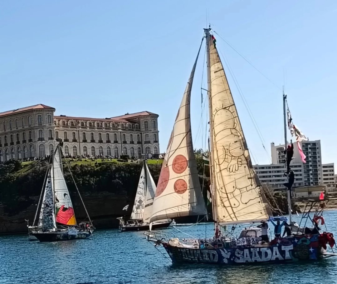 Tom Martin 𓂆 🇵🇸 tweet media