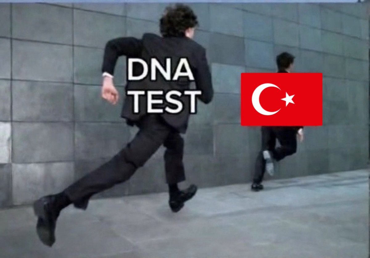 Caт Bee 🪶 tweet media