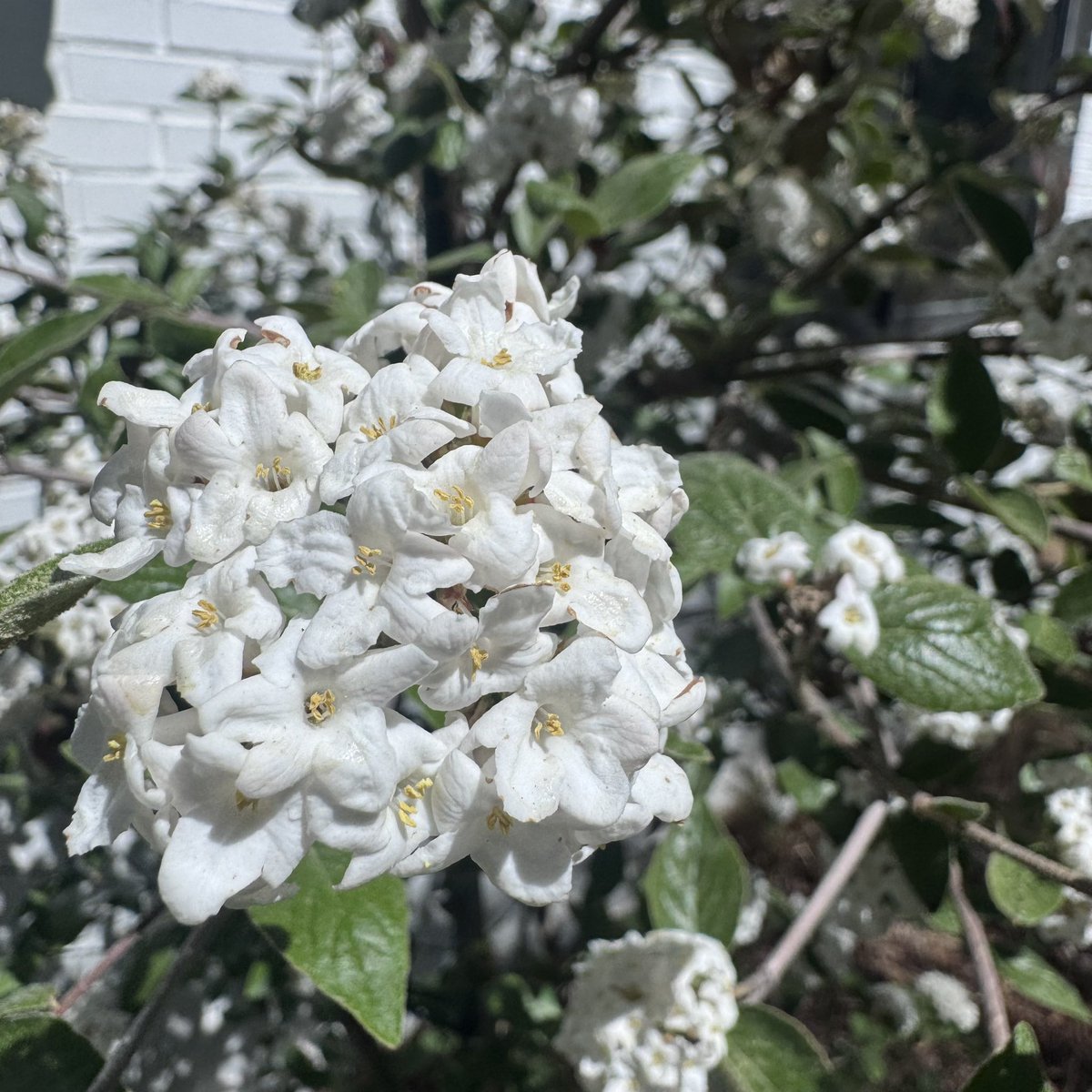 Kyle Clark tweet media