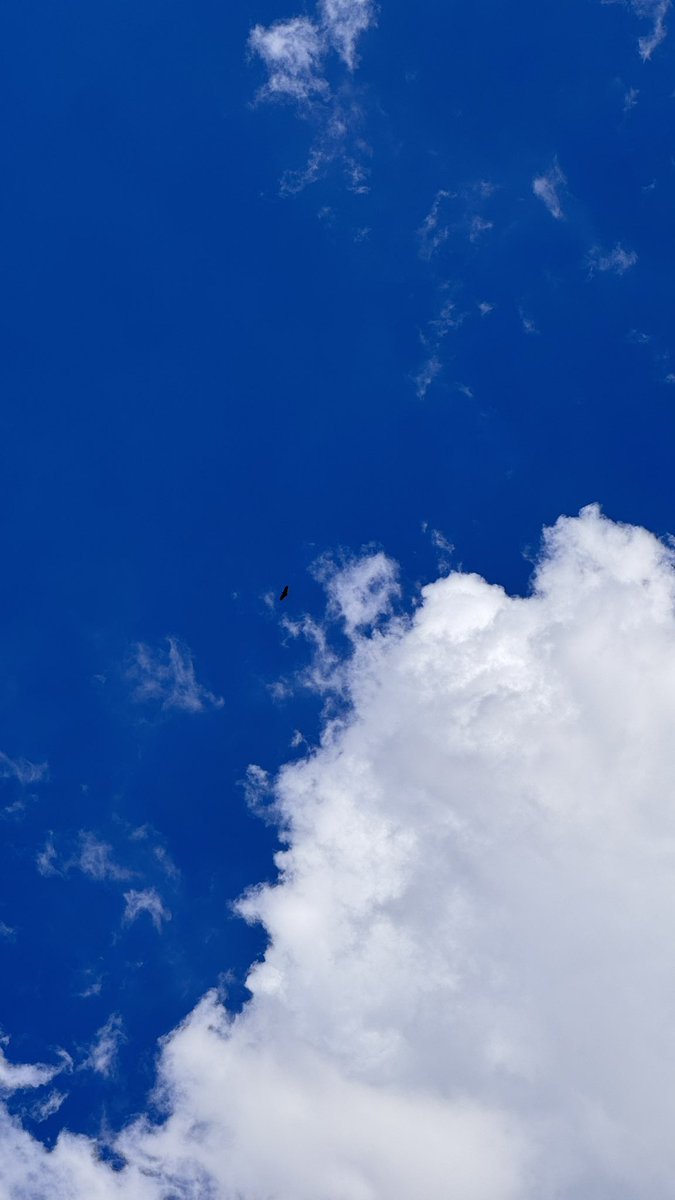 rafareu_'s tweet photo. ☀️🥵🏖️ https://t.co/RhAFmu177E