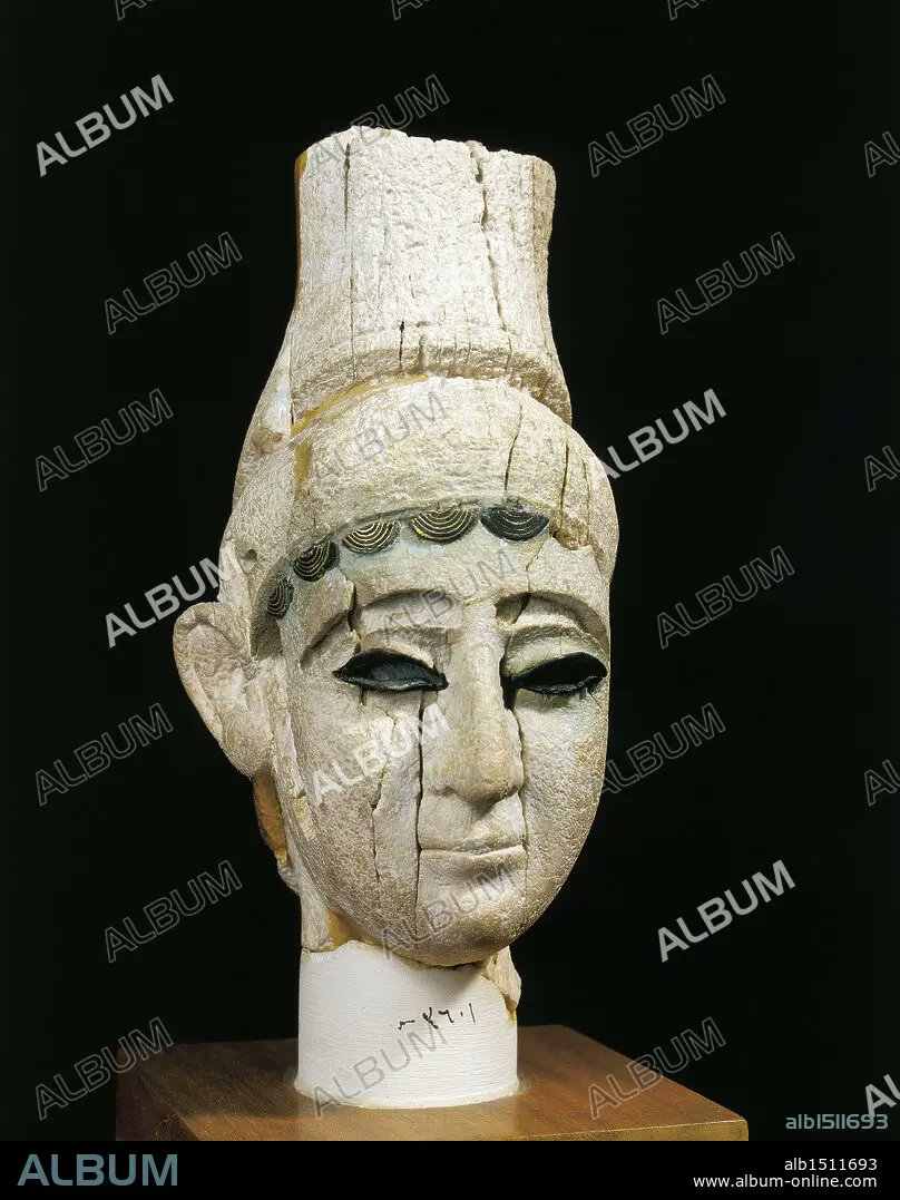 رويال الزبيدي🎖 tweet media