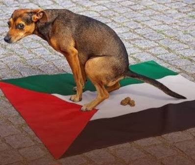 Rodri 🇵🇾 🇨🇱 tweet media