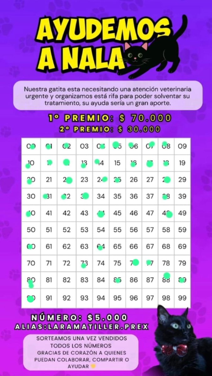 LaraMatiller's tweet photo. Hola a todos 💛
Estoy haciendo una rifa a beneficio de mi gatita Nala, que está atravesando un momento complicado de salud. Todavía no sabemos bien qué es lo que tiene, pero necesita estudios, controles y tratamiento.
Les agradezco muchísimo si me ayudan compartiendo + https://t.co/7TCzD4tcTT